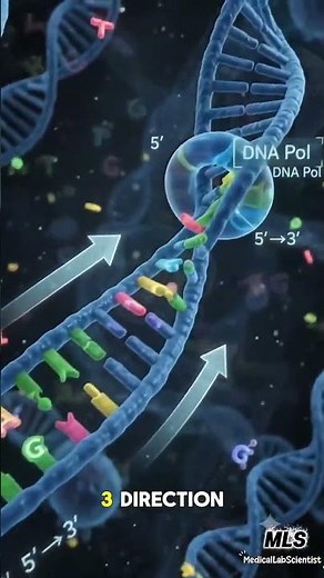 How DNA Replication Works Step by Step