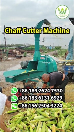 Chaff Cutter Machine Silage Machine | Western Agriculture Technology | Zhengzhou, China