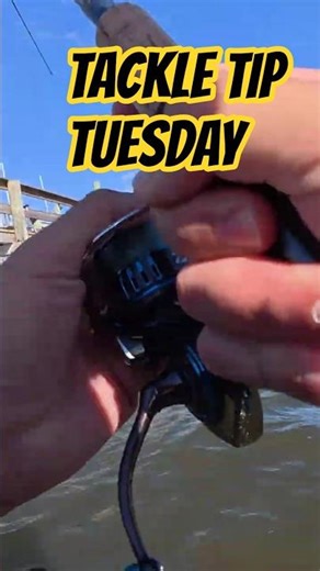 Snook Season Closed? Do THIS to Keep Catching Fish in Florida