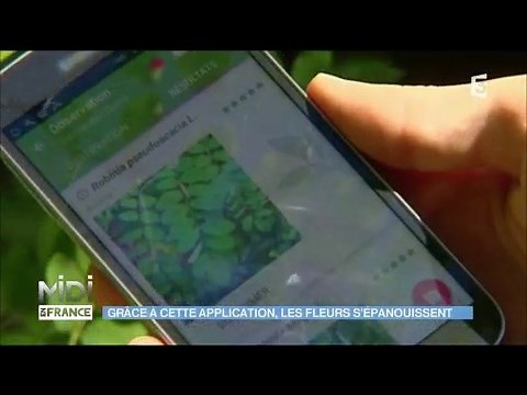 PlantNet : une application pour identifier la flore