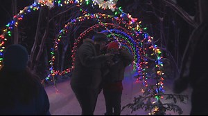 Memorial University's Botanical Garden dazzles with first winter light show | CBC News
