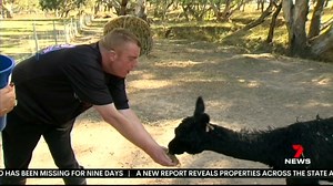 Razoo Animal Sanctuary has opened its doors to disability support groups after a 2 month freeze.