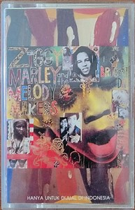 Ziggy Marley And The Melody Makers - One Bright Day