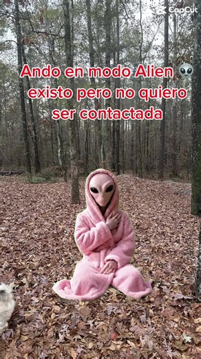 #alien #construction #risa #JRG