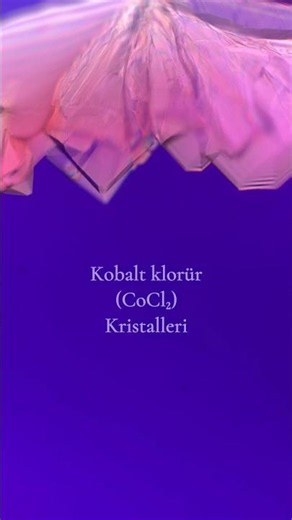 Mikroskop Altında Kobalt Klorür Kristalleri
