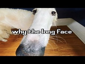 discord memes I've collected since 2021