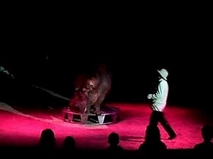 Circus-Hippo