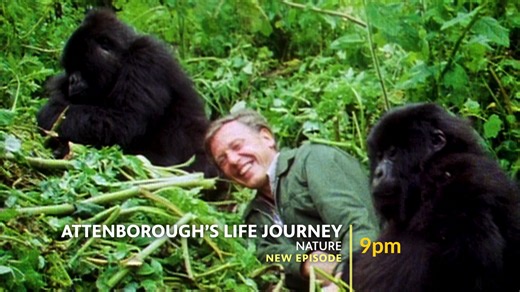 1.2K views | Tonight, starting at 9 pm on WTJX-TV, Channel 12, enjoy...