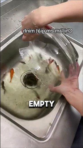 How To Clean Fish Tank