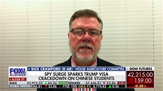 GOP lawmaker warns of 'ever-present problem' posed by China in homeland, western hemisphere