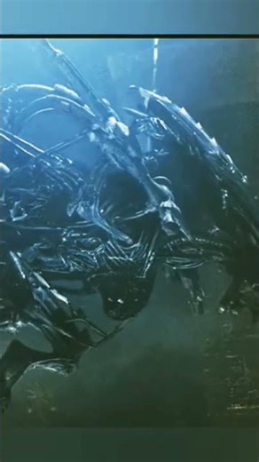 💥💥Alien_vs._Predator__2004__Predator_BlastsAlienwithLaserA💥💥💯