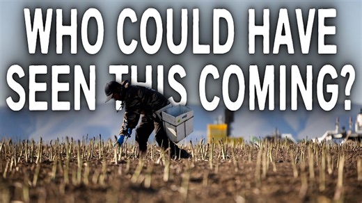America’s Farmland Crisis: Why Small Farmers Are Being Pushed Out in 2025