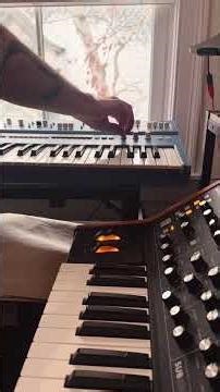 Moog Sub 25 & UDO Super 6 are a match made in heaven