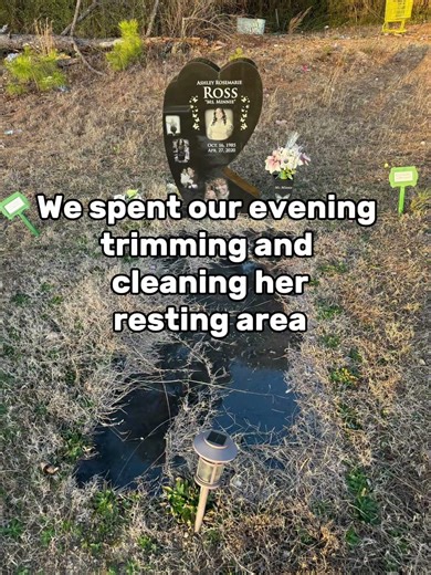 Cleaning Ms Minnie’s resting space