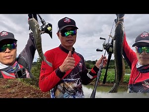 Lure Cá Lóc Mùa Lũ Bằng Mồi C38, Cần Bulava Amanda Xt Cá Táp Liên Tục