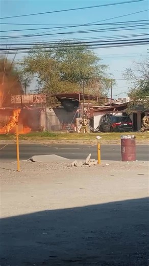 Os vídeos de Misto Quente (@misto.quente93) com som original - Misto Quente