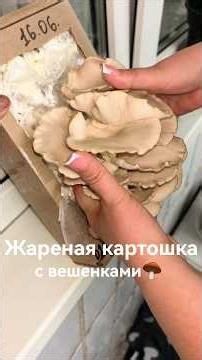 Жареная картошка с домашними грибами🤗пожинаем плоды🍄‍🟫 #рекомендации #рецепты #грибы #картошка #еда