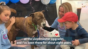 Happy National Volunteer Week! Our staff and their families believe in the power of giving, getting involved in the community and building a better future, and we empower them to do so through our employee giving and volunteering program, #CenovusCares. Hear from some of our Cenovus Cares volunteers in Lloydminster about the impact of the program in their workplace, communities and families. #NationalVolunteerWeek #NVW2024 | Cenovus