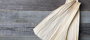 Toilet Paper Alternatives | DoItYourself.com