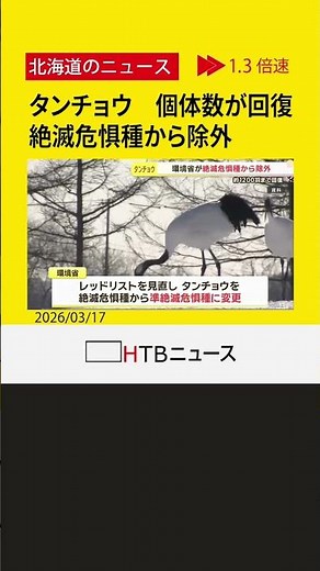 国の特別天然記念物タンチョウ 絶滅危惧種から除外 給餌や繁殖地の保全で1200羽ほどに回復