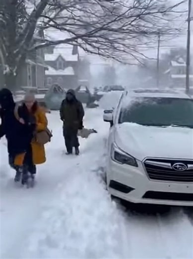 Nature gone wild! Never seen hail this big before — streets are chaos 😱💥 #ExtremeWeather #Hailstorm, #ExtremeWeather, #ClimateShock, #NaturePower, #RealFootage, #ViralVideo, #ApocalypseNow, #StormChasers, #Storm, #Nature, #Climate, #Extreme, #rain, #Apocalypse