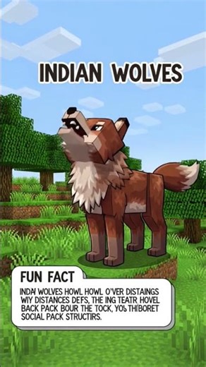 animal in India part5