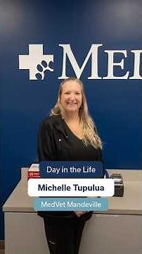 Veterinary Receptionist Week - Day in the Life