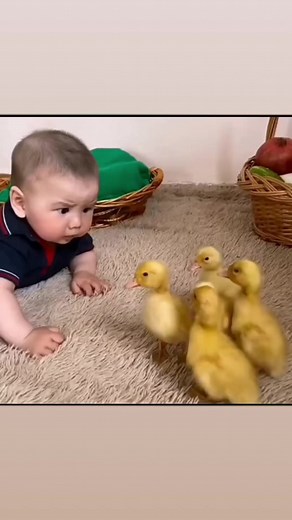 Valor de convivir con animales #bebesfelices #bebes #amordemadre #amorporlosanimales #papásprimerizos #mamasfelices #mamasypapas #AnimalLove | Mamás y Papás Primerizos