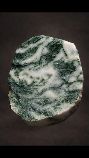 Why Do Trees Appear in Stone?