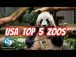 USA: America’s Top 5 Zoos to Visit in 2024!