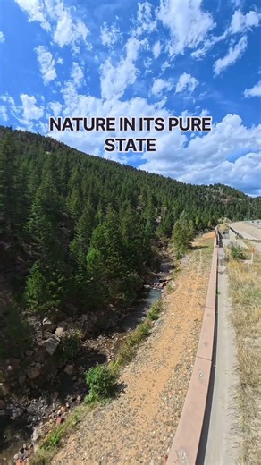 Nature In Its Pure State | 4K Landscape