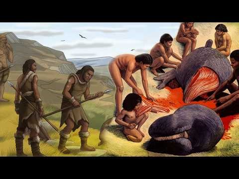 मानव विकास से भाषाओं तक का संपूर्ण सफर | How 5000 languages were born | (DOCUMENTARY)