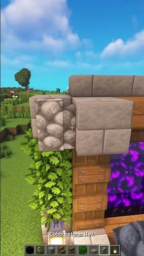 Minecraft Nether Portal 💀