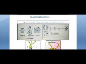 La mycologie Partie 7 La reproduction des champignons