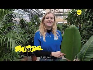 He jij! Kom werken in een tuincentrum. Daar bloei je van op!