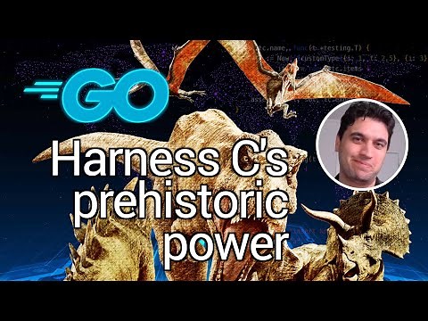 Cgo - Adding C code to your Go project