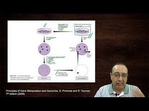 Screening Genomic DNA and cDNA Libraries | Genomics