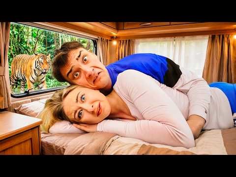 24 Timer i En Campingvogn i Zoo