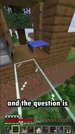 The Rarest Block in Minecraft…