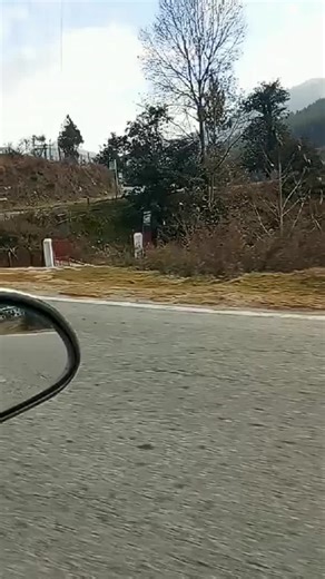 21km run from lungten zampa to Dochula Drunk wangyel chorten.