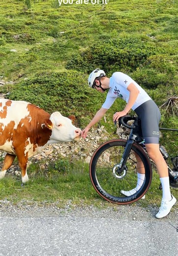 Exploring the Dolomites: A Cycling Adventure