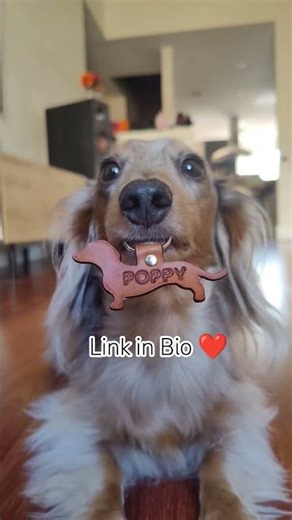 handmade leather keychain with my name on it ❤️ you can one on the Etsy link in bio #dachshund