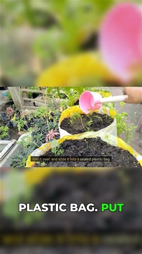 One Simple Test Saves Your Garden #gardening #seeds #hack