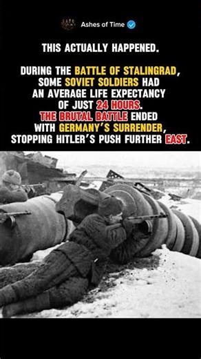 The Brutal Reality of Stalingrad #history #ww2 #shorts