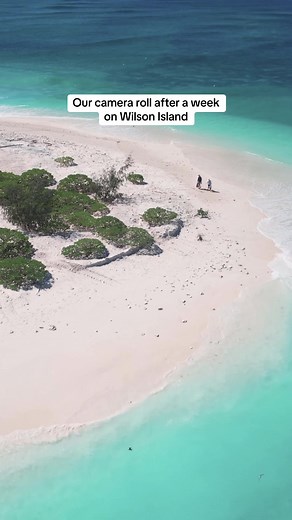 Experience Tropical Paradise on Wilson Island, Queensland