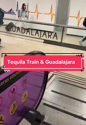 Descubre Guadalajara y el Tren de Tequila