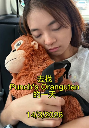 寻找偶然无担的一天：我们的星期六冒险