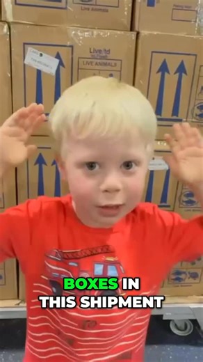 Predatory Fins ® | Rare & Exotic Fish Store | It’s official… my kids are completely obsessed with fish! 😂🐟 From naming every fish in the tank to begging for more every week, they’ve... | Instagram