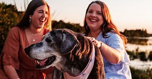 Annie, surrendered 19-year-old dog who found new home, dies: ‘She inspired so many’