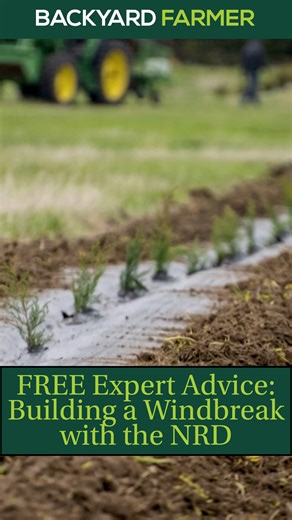 1.9K views · 34 reactions | Before you plant, know your purpose — wind control, snow management, screening, or wildlife habitat. Your goals shape your design!  Contact your local NRD or Nebraska Forest Service forester to get personalized help designing your windbreak. #WindbreakDesign #NRD #NebraskaForestService #BackyardFarmer #TreePlanting #AcreageLiving #Windbreak #trees | Backyard Farmer | Facebook